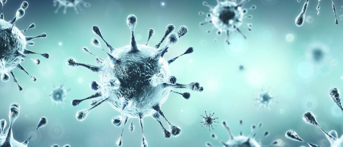 Corona Virus
