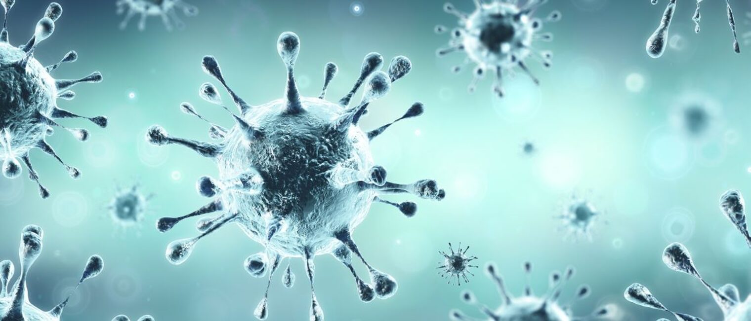 Corona Virus